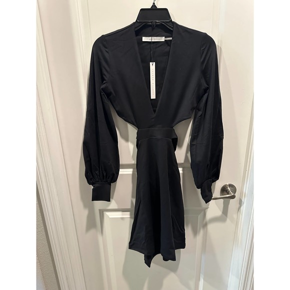 Susana Monaco deep v center open dress - Picture 6 of 12